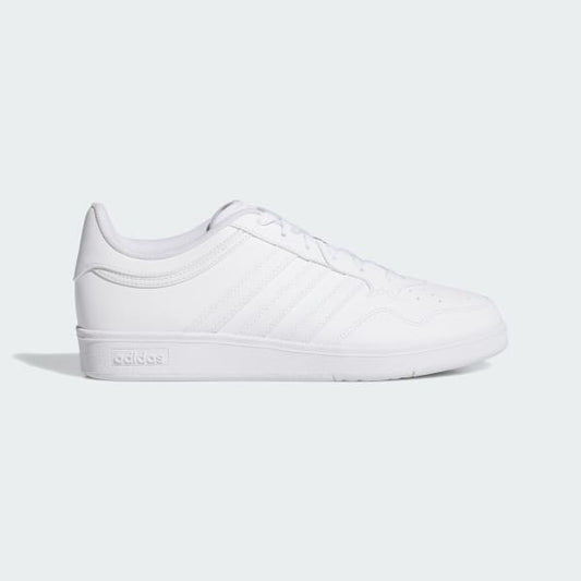 HOOPS  4.0